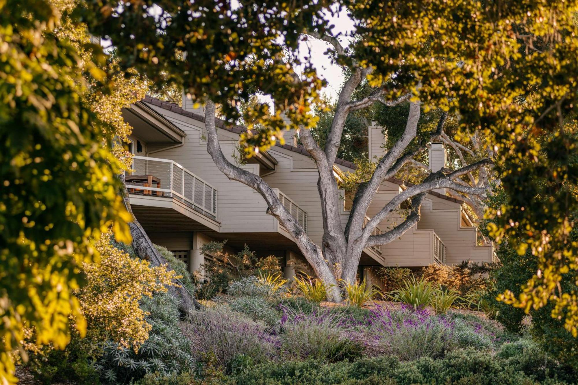 Carmel Valley Ranch, In The Unbound Collection By Hyatt Ngoại thất bức ảnh